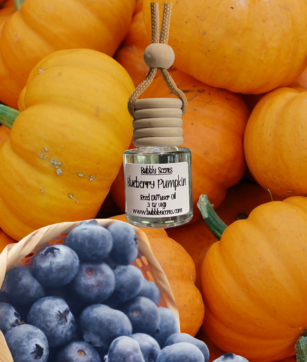 Car Fresheners- "Seasonal Scents"